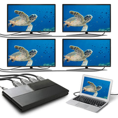 4-Port High Speed 4K HDMI Splitter for Hdtvs Monitors and Projectors, Black